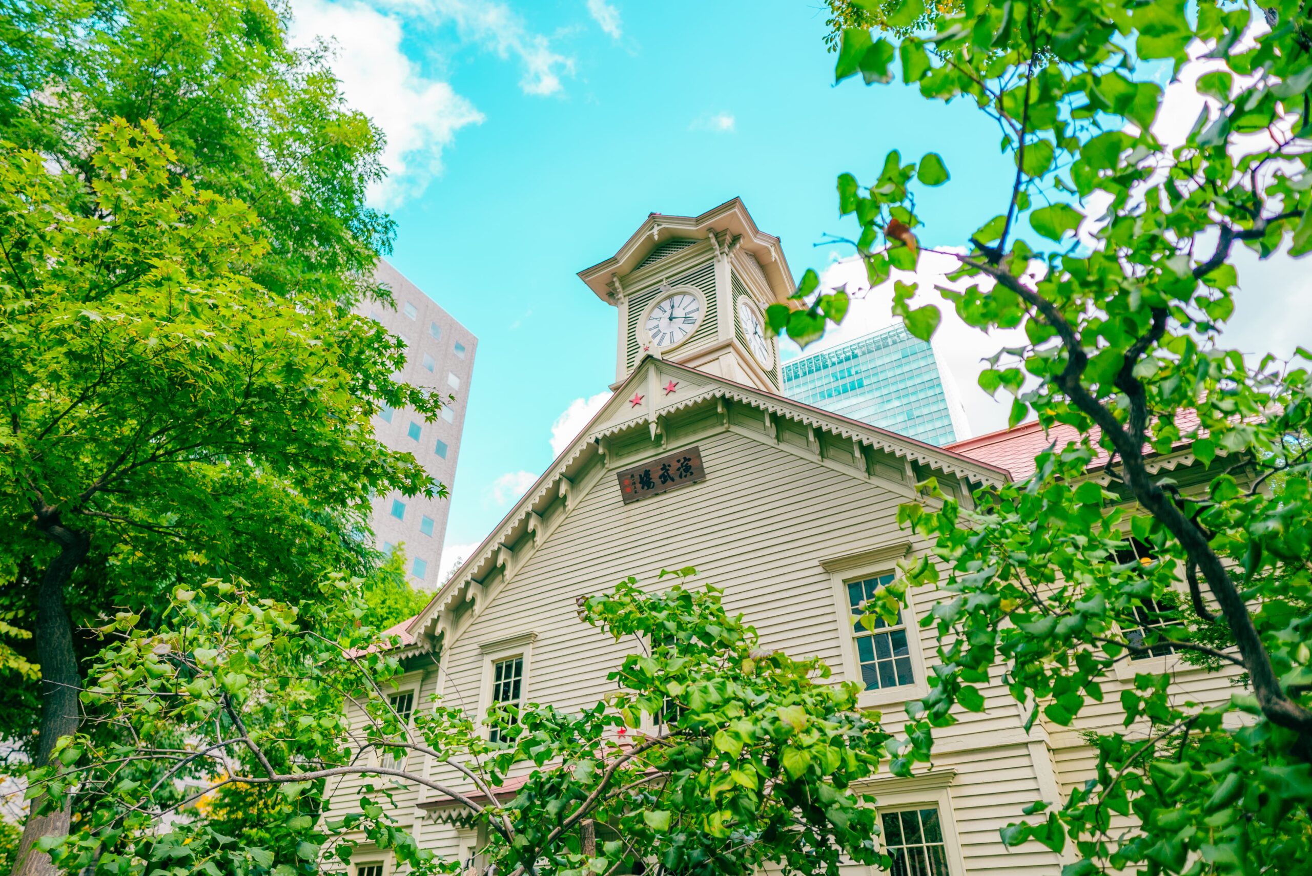 AdobeStock_1280769749 (1)